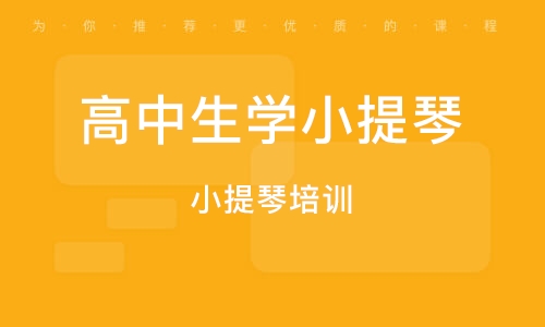 義烏小提琴培訓(xùn) 